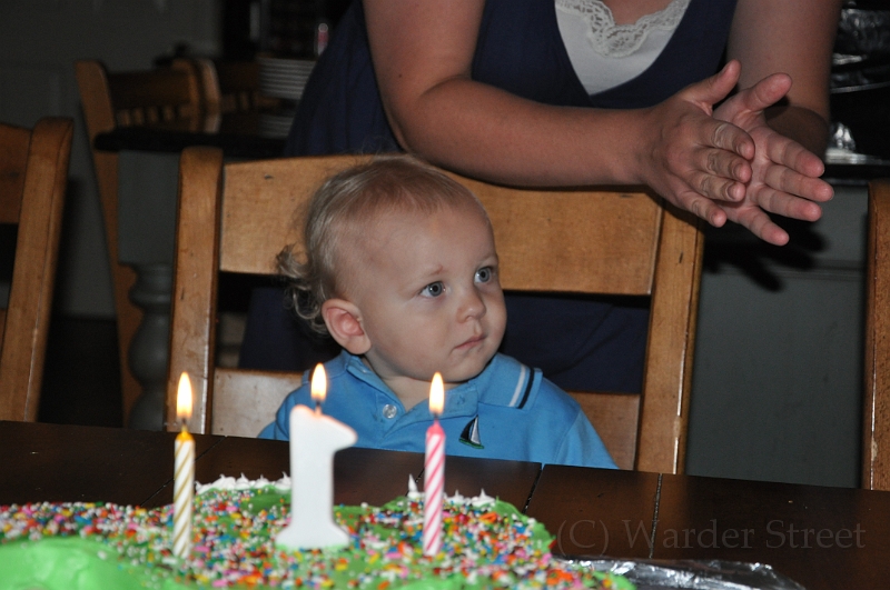 William's 2nd 1st Birthday Party 297.jpg